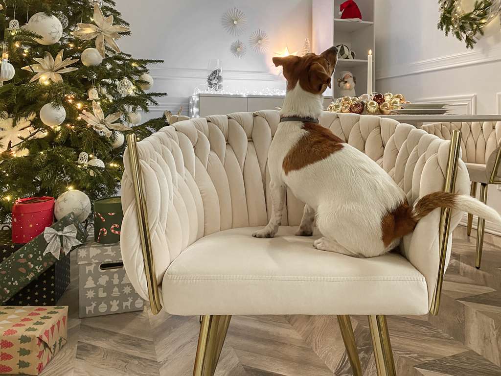 krzesło fotelowe ROSA z plecionego weluru złota podstawa 4 nogi eleganckie glamour nowoczesne design stylowe meble