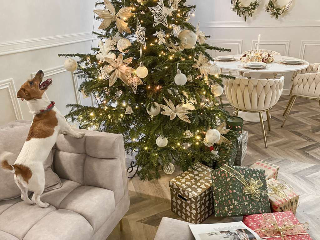 choinka prezenty świąteczne pies fotel przeszywany pies świąteczny czas boże narodzenie wigilia