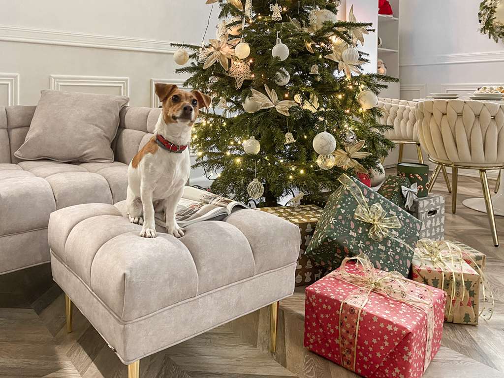 jadalnia i salon w stylu glamour krzesła fotelowe ROSEN welur pleciony tkanina tapicerowane na złotej podstawie wygodne i komfortowe do bożonarodzeniowego stołu
